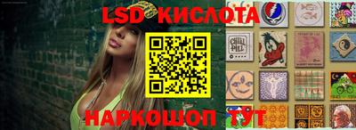 соль ск Новозыбков