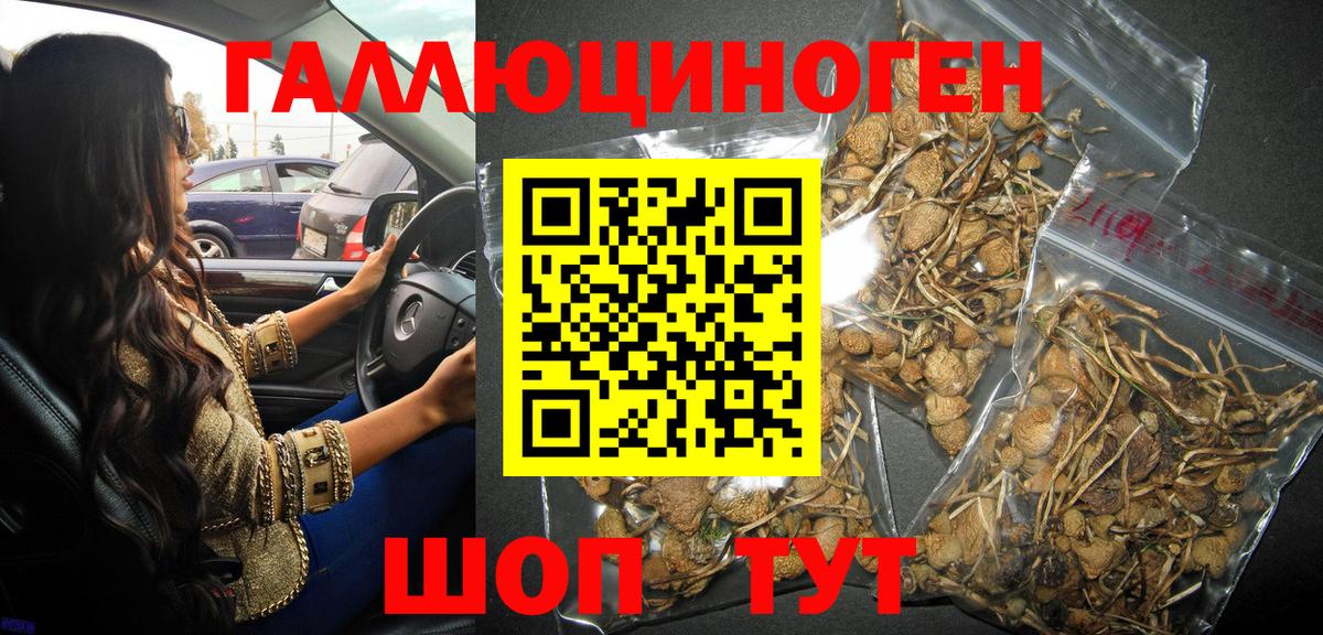 Псилоцибиновые грибы Cubensis Советск