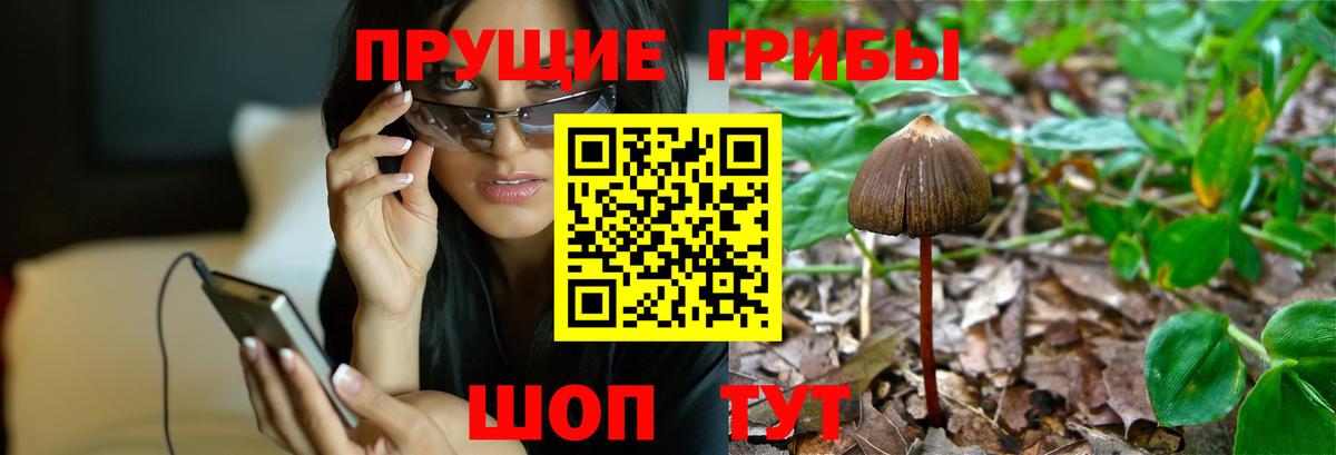Галлюциногенные грибы ЛСД  Вход с VPN  Советск 